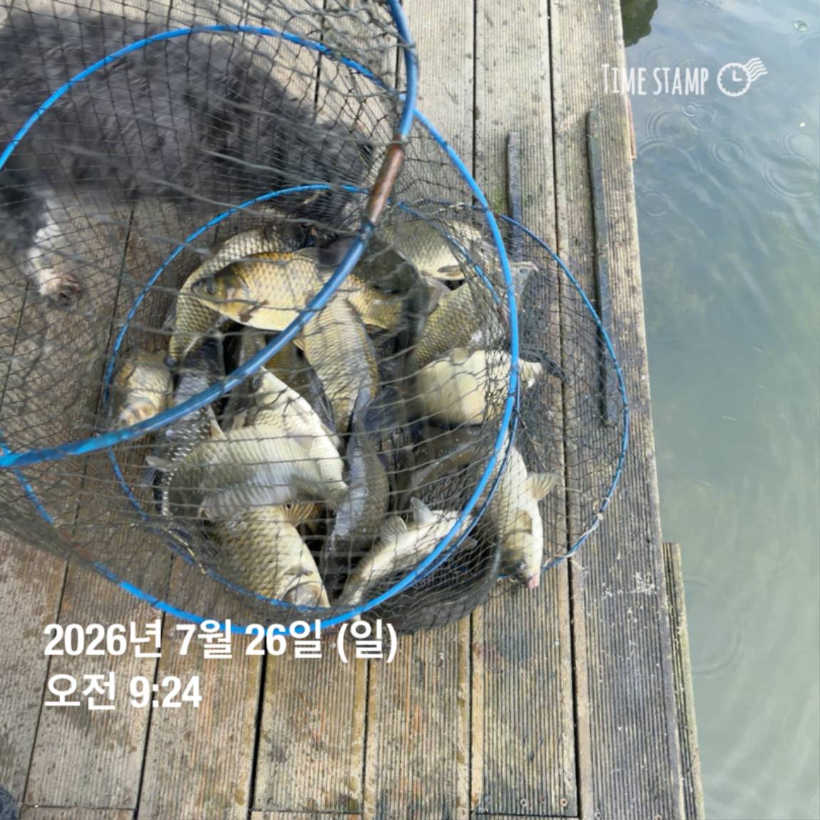 KakaoTalk_20260727_155936773_20.jpg
