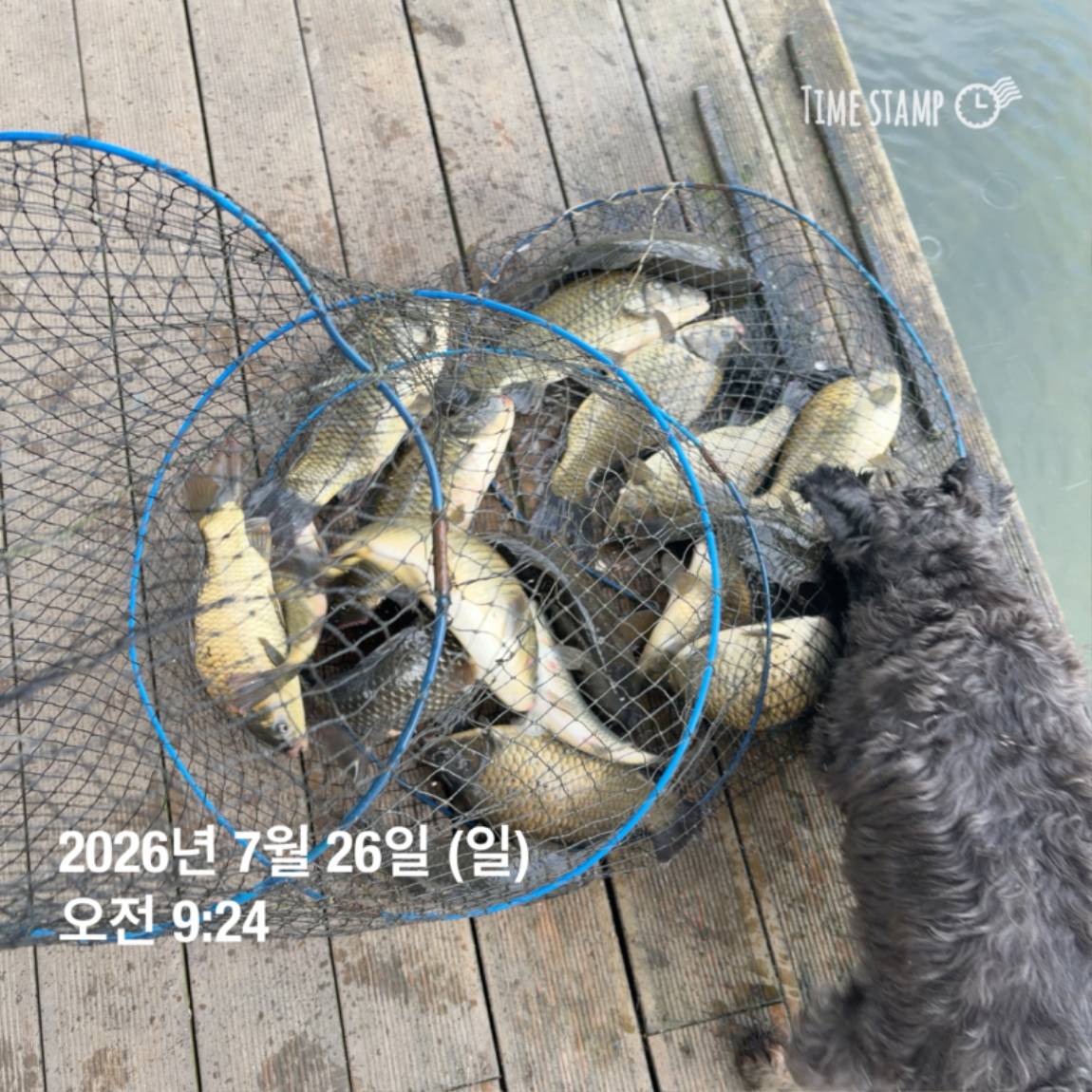 KakaoTalk_20260727_155936773_21.jpg