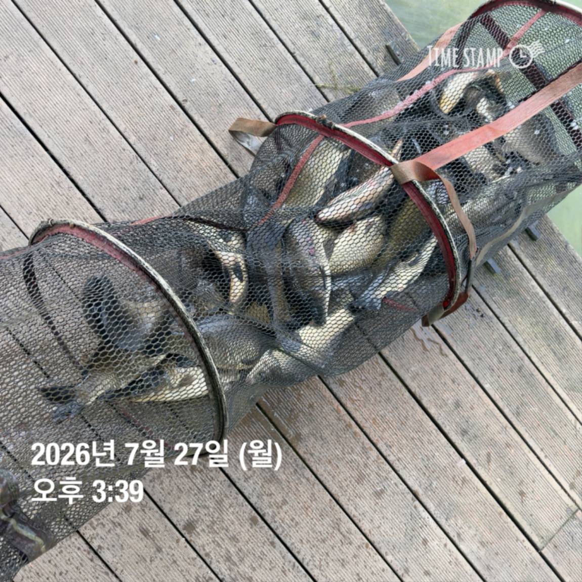 KakaoTalk_20260727_155936773_26.jpg