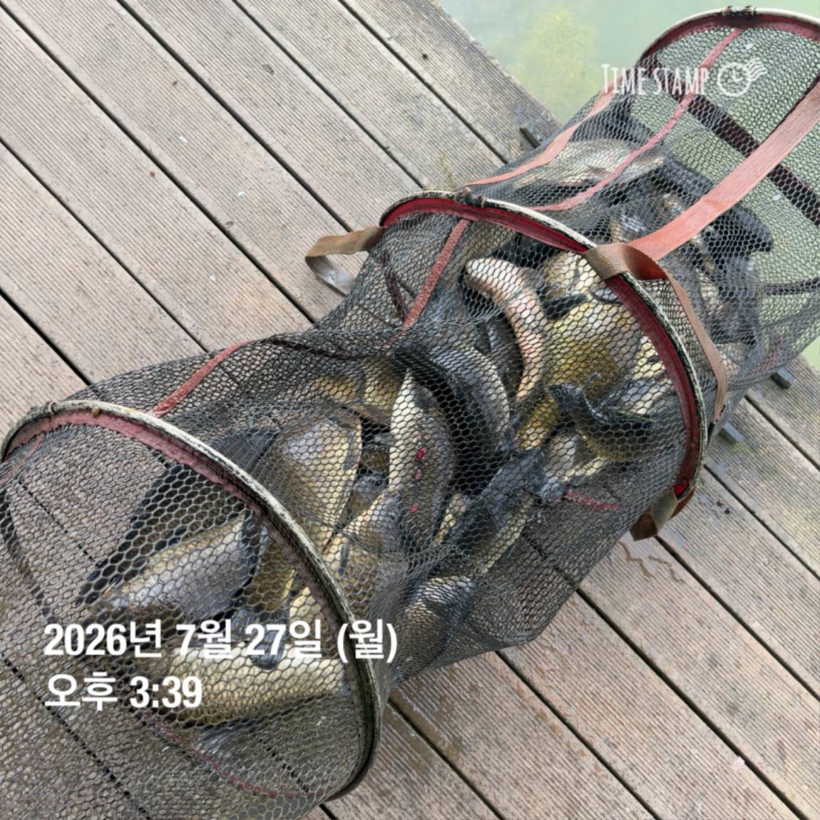 KakaoTalk_20260727_155936773_28.jpg