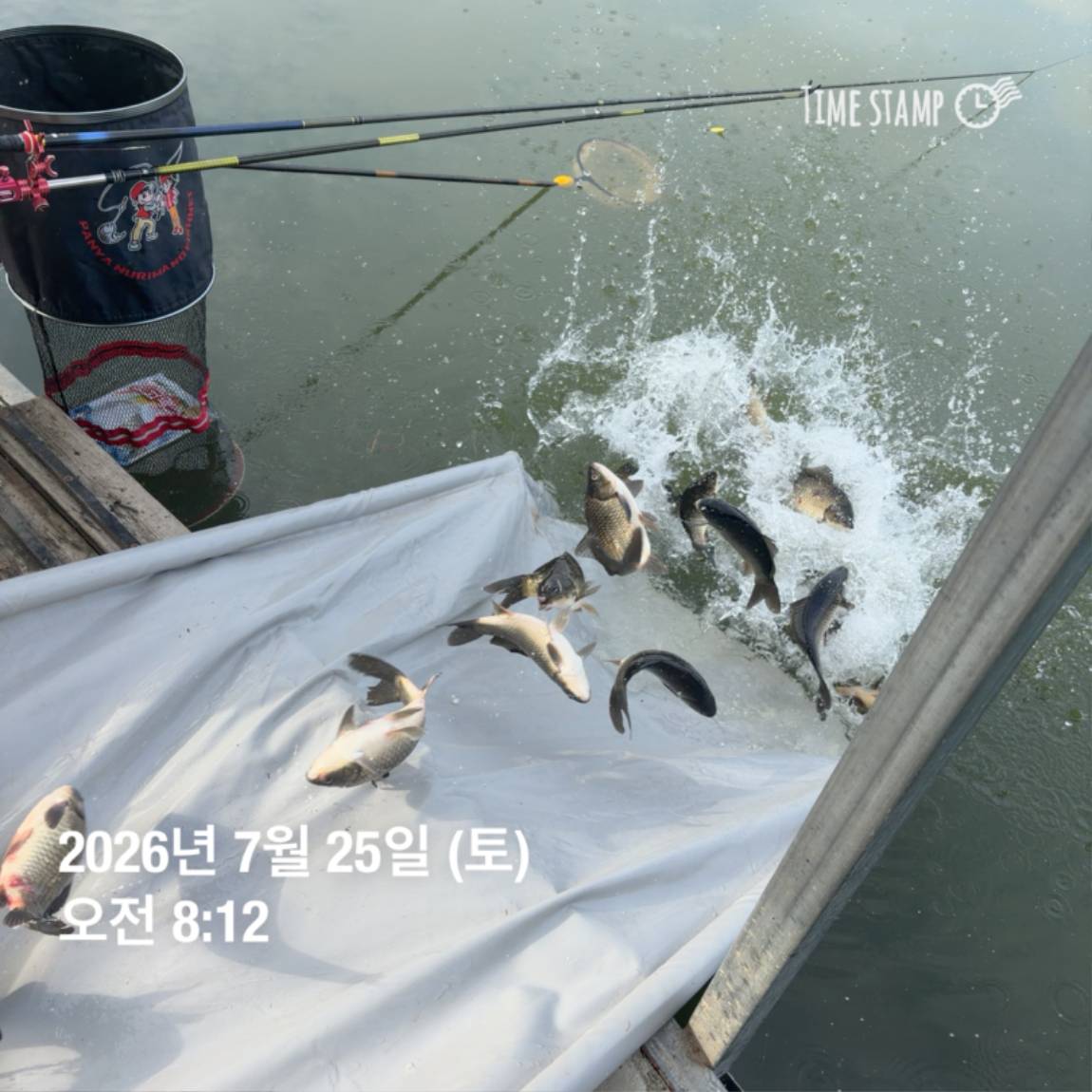 KakaoTalk_20260727_155939918_01.jpg