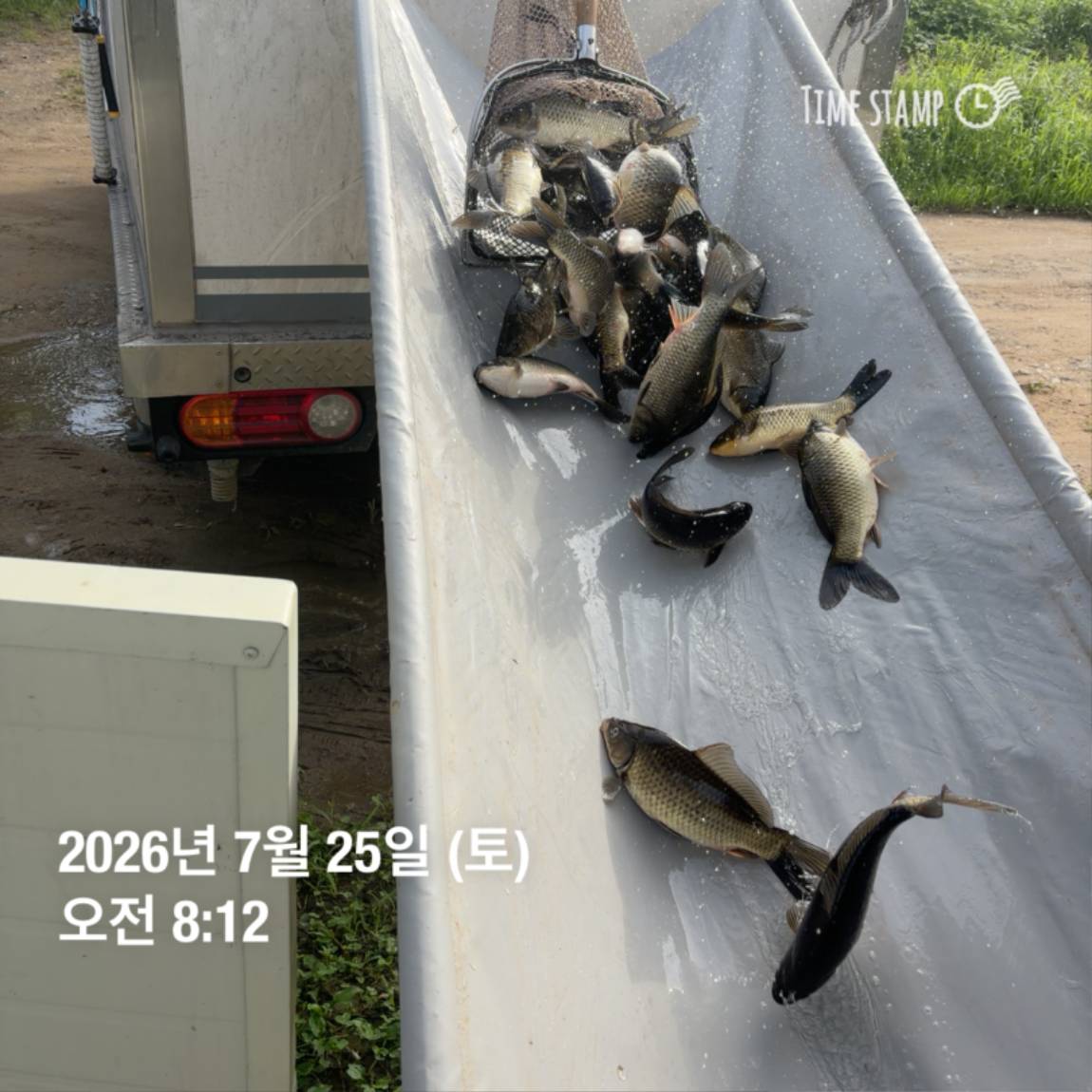 KakaoTalk_20260727_155939918_03.jpg