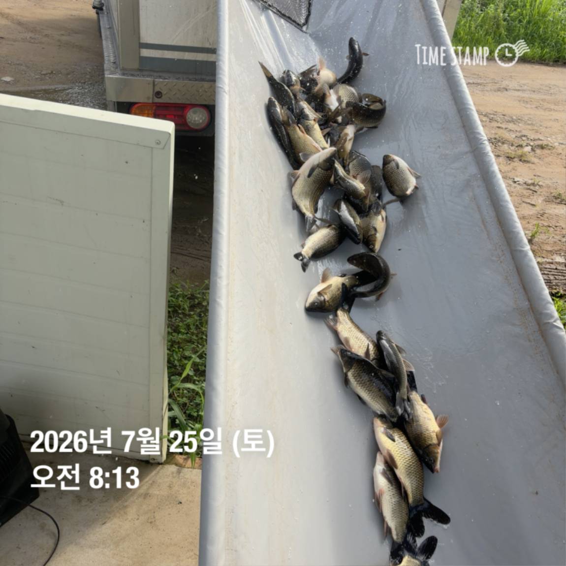KakaoTalk_20260727_155939918_09.jpg