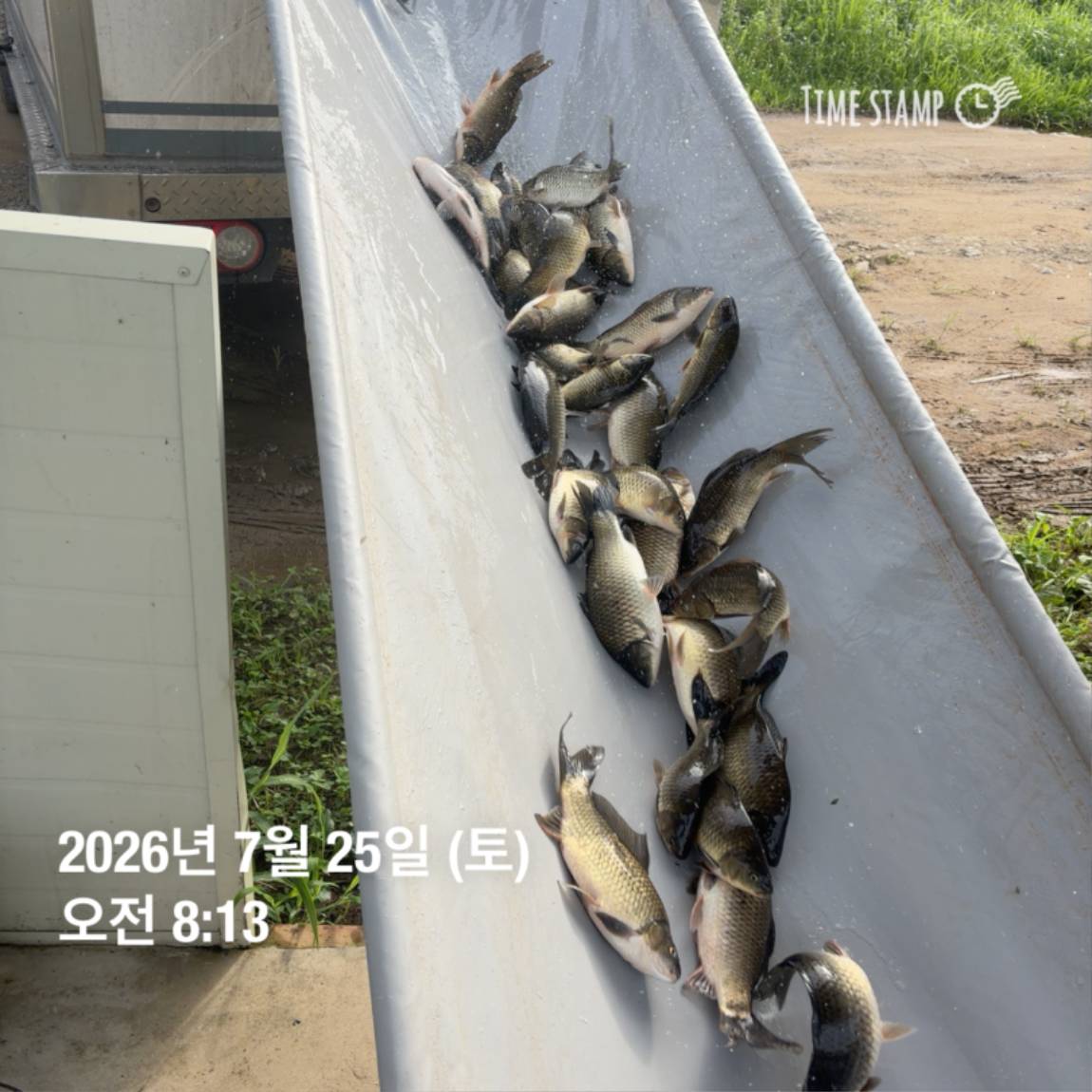 KakaoTalk_20260727_155939918_11.jpg