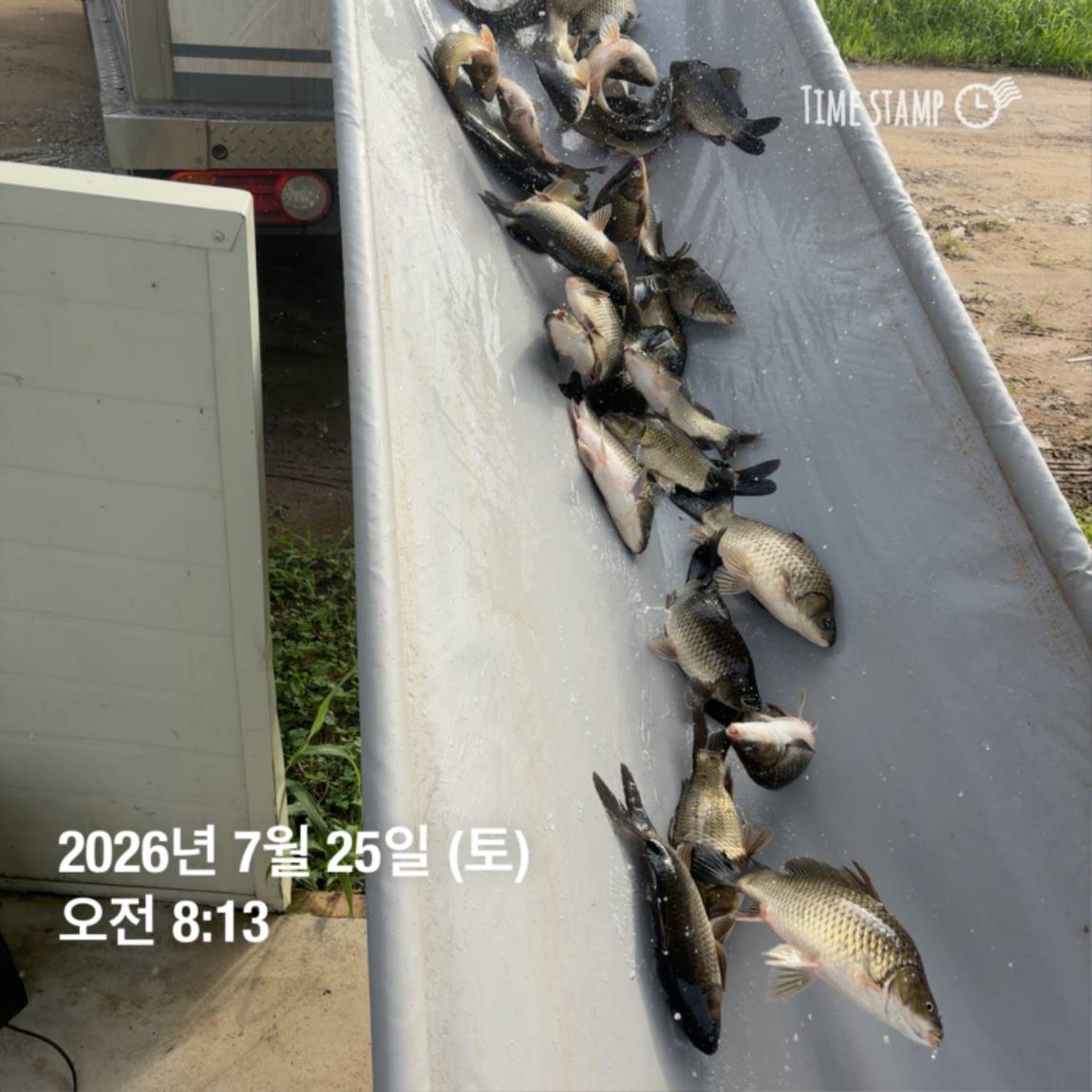KakaoTalk_20260727_155939918_13.jpg