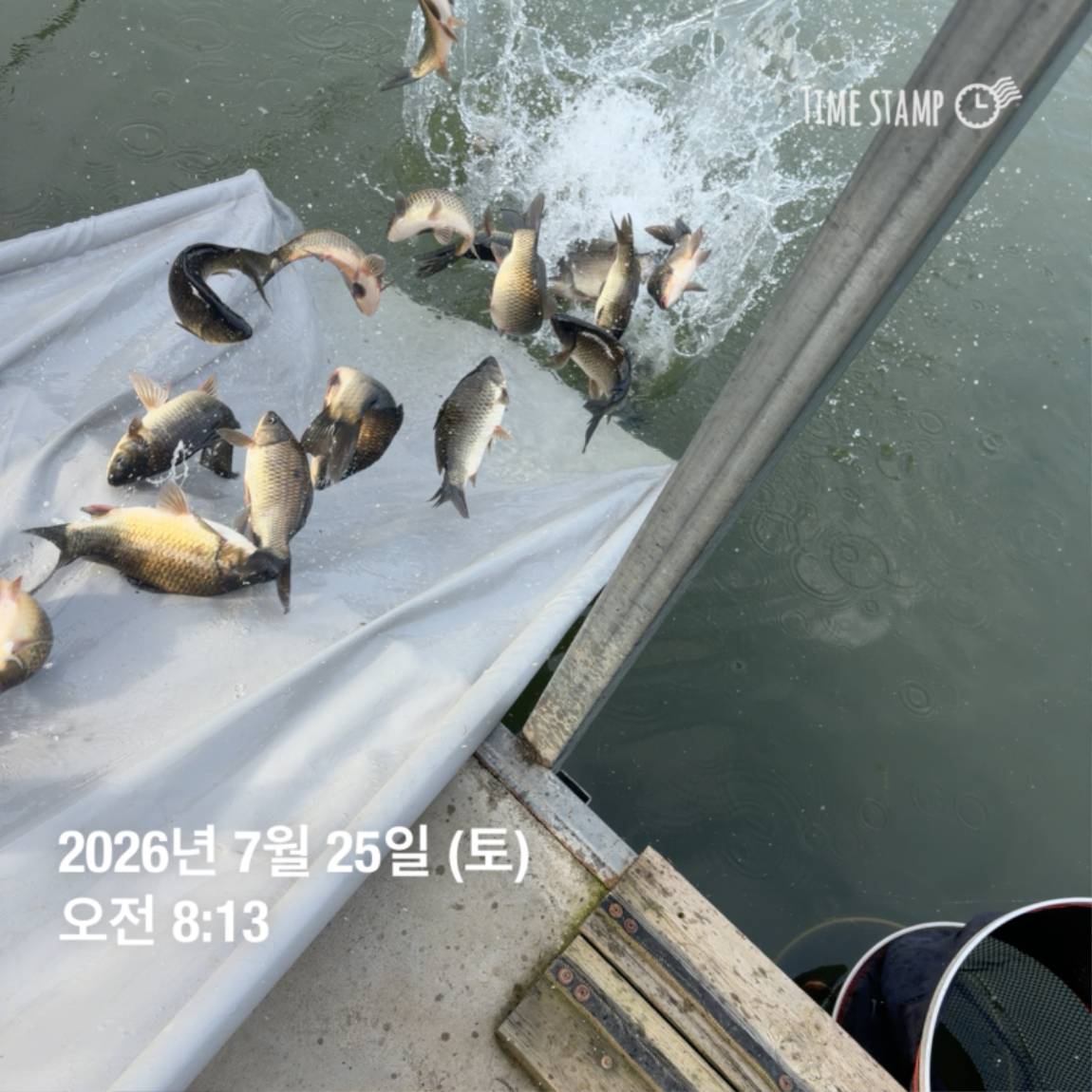 KakaoTalk_20260727_155939918_14.jpg