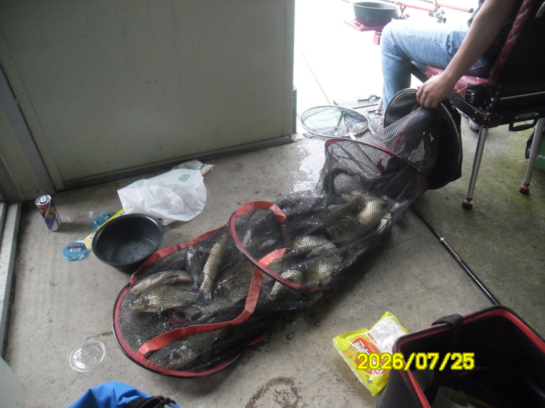 SAM_1484.JPG