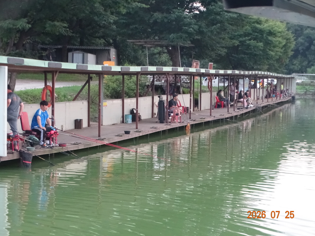 DSC06705.JPG