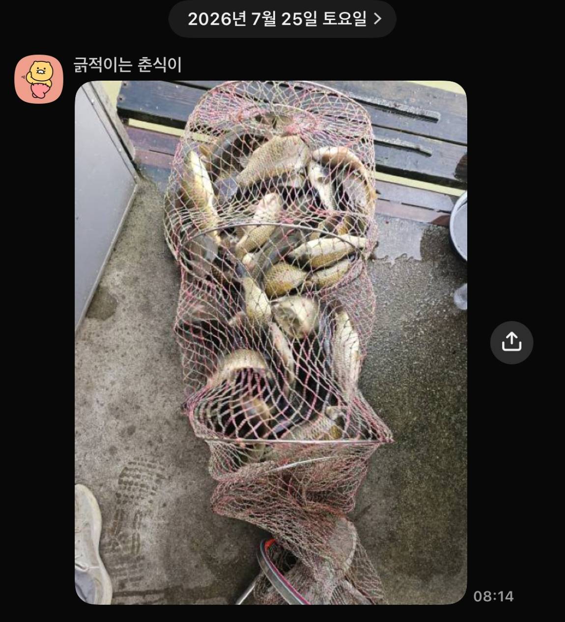 KakaoTalk_20260728_064907391_29.jpg