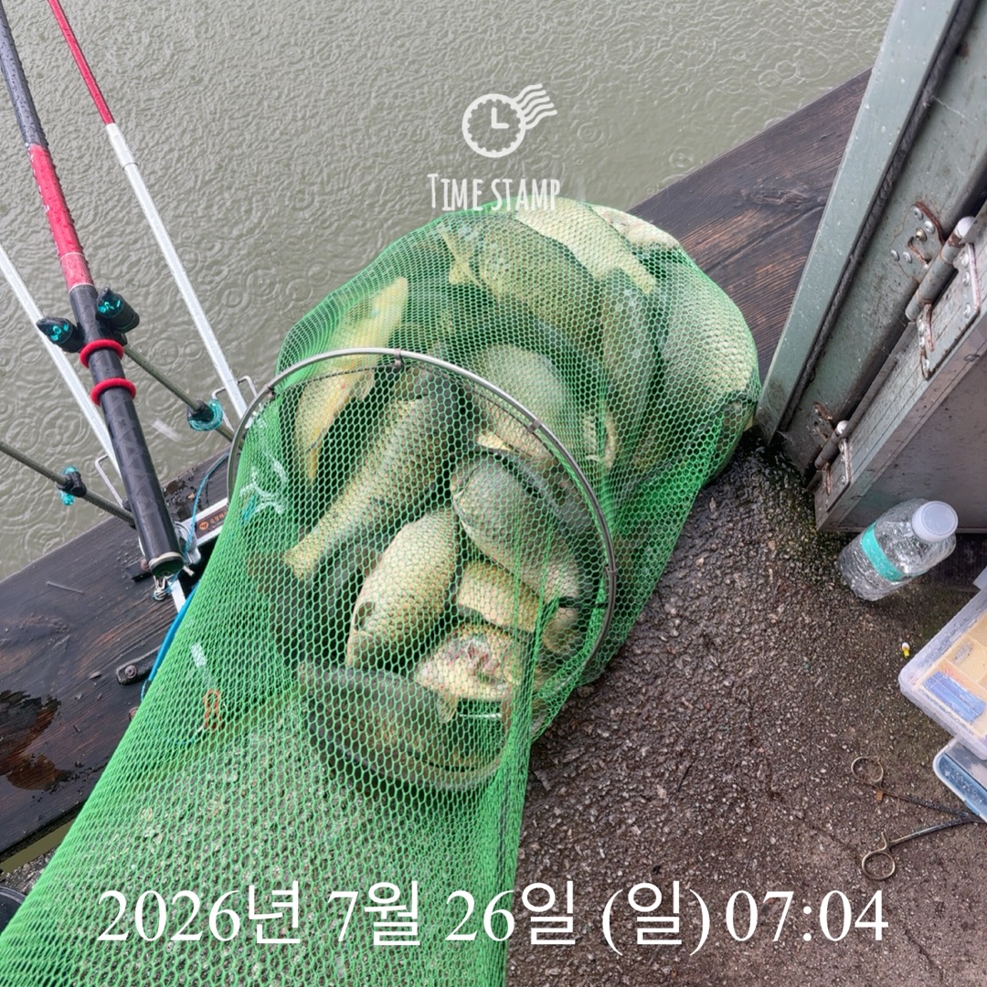 KakaoTalk_20260728_064907391_17.jpg