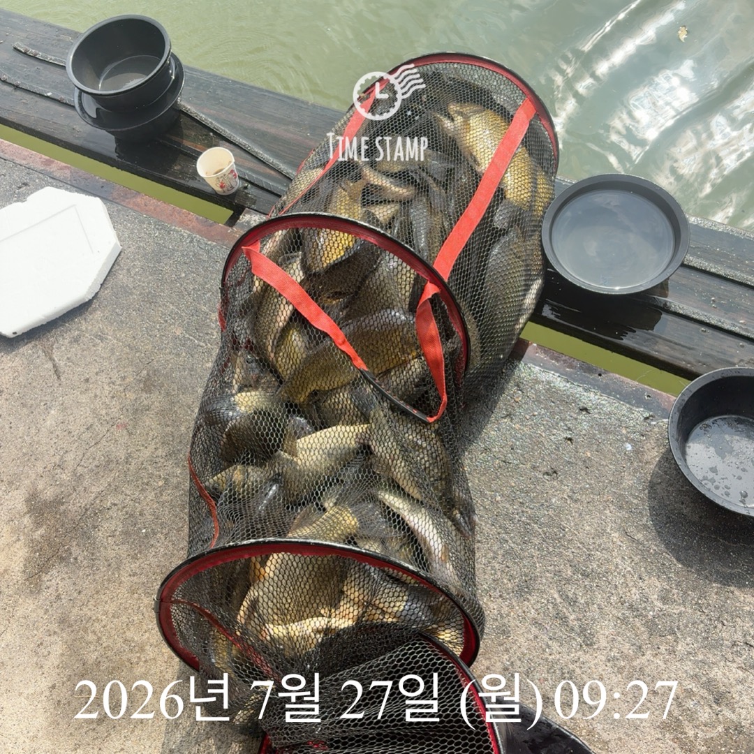 KakaoTalk_20260728_064907391_07.jpg