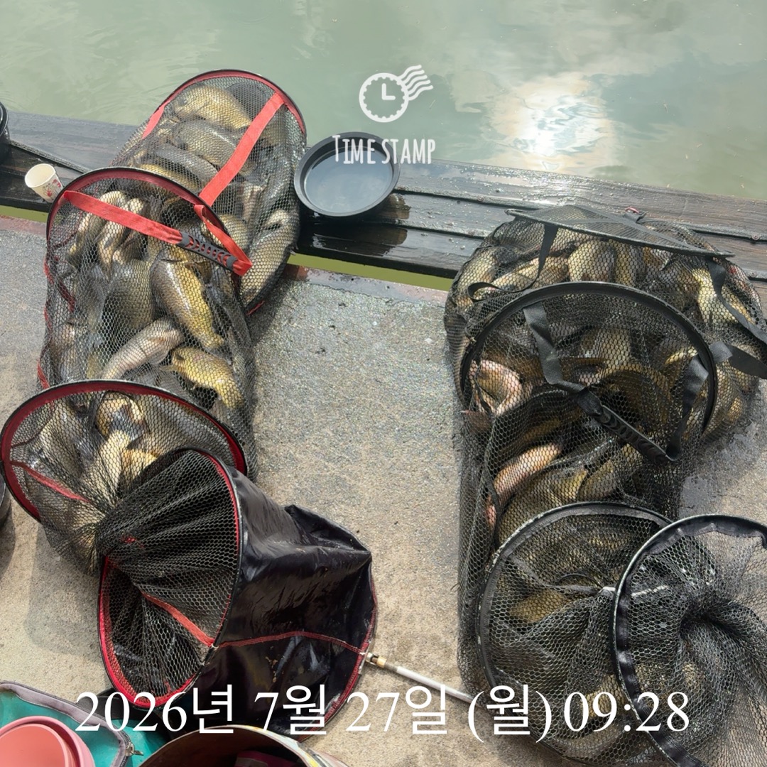 KakaoTalk_20260728_064907391_05.jpg