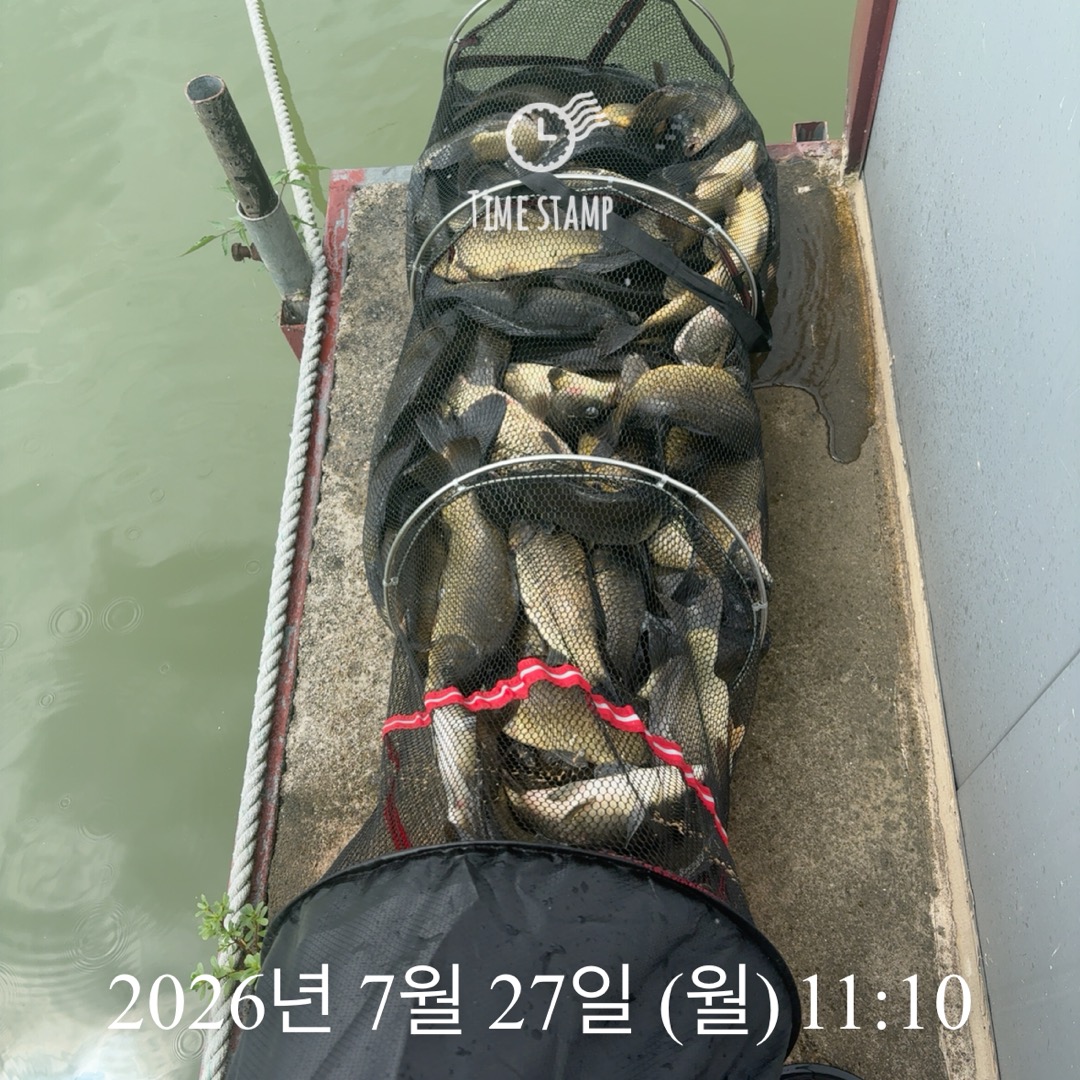 KakaoTalk_20260728_064907391_04.jpg
