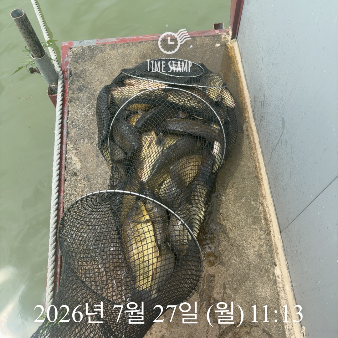 KakaoTalk_20260728_064907391_03.jpg