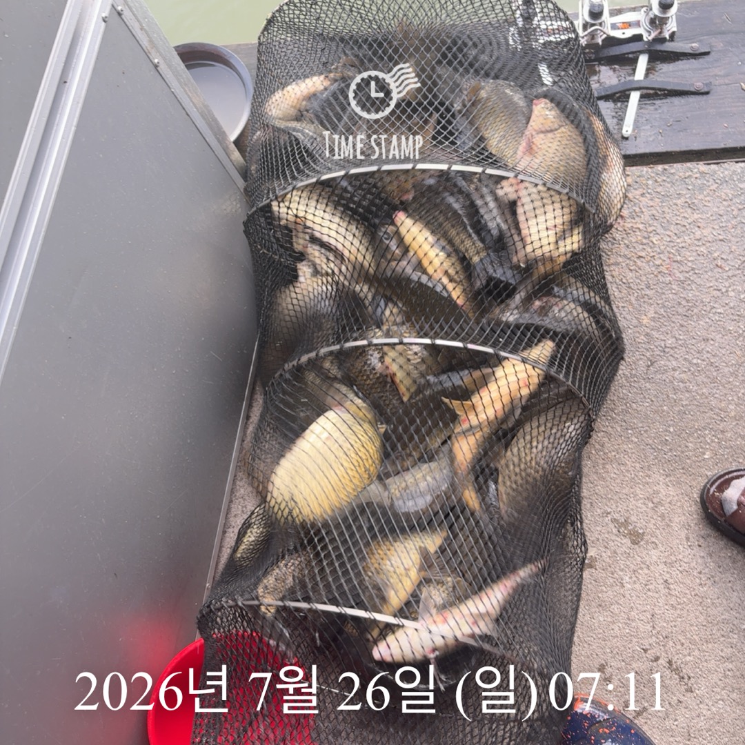 KakaoTalk_20260728_064907391_15.jpg