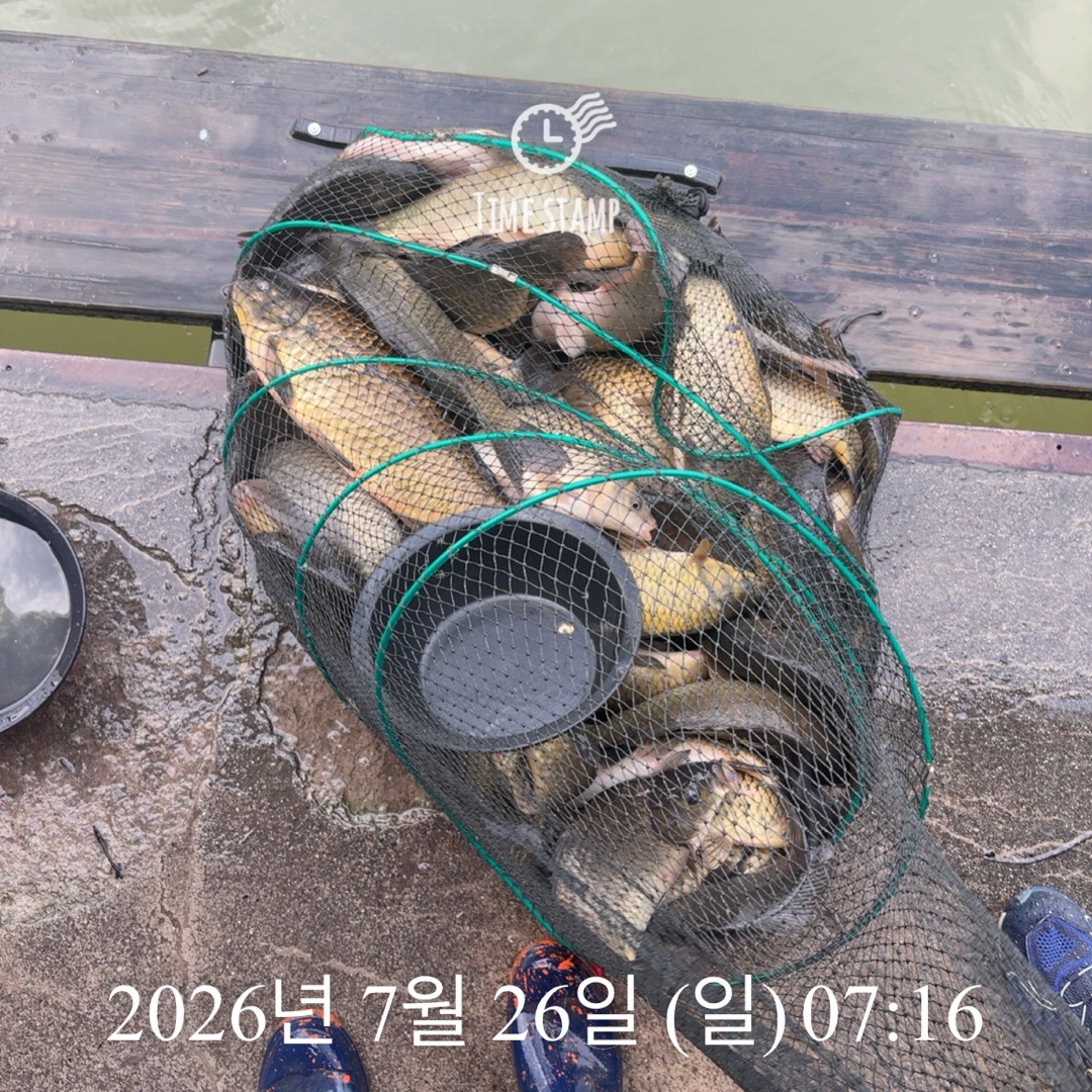 KakaoTalk_20260728_064907391_14.jpg