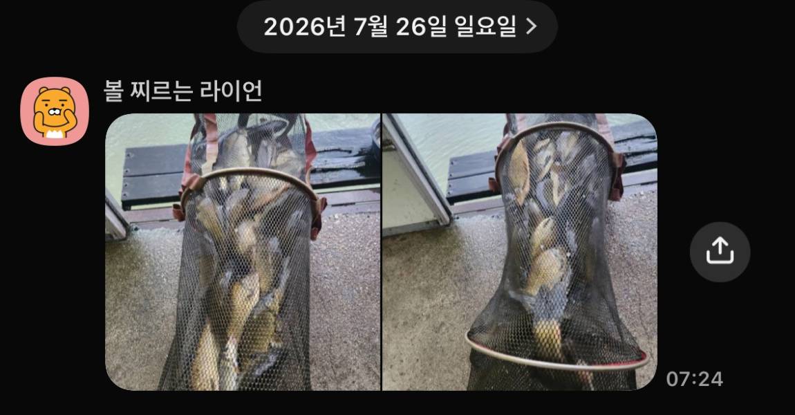 KakaoTalk_20260728_064907391_10.jpg