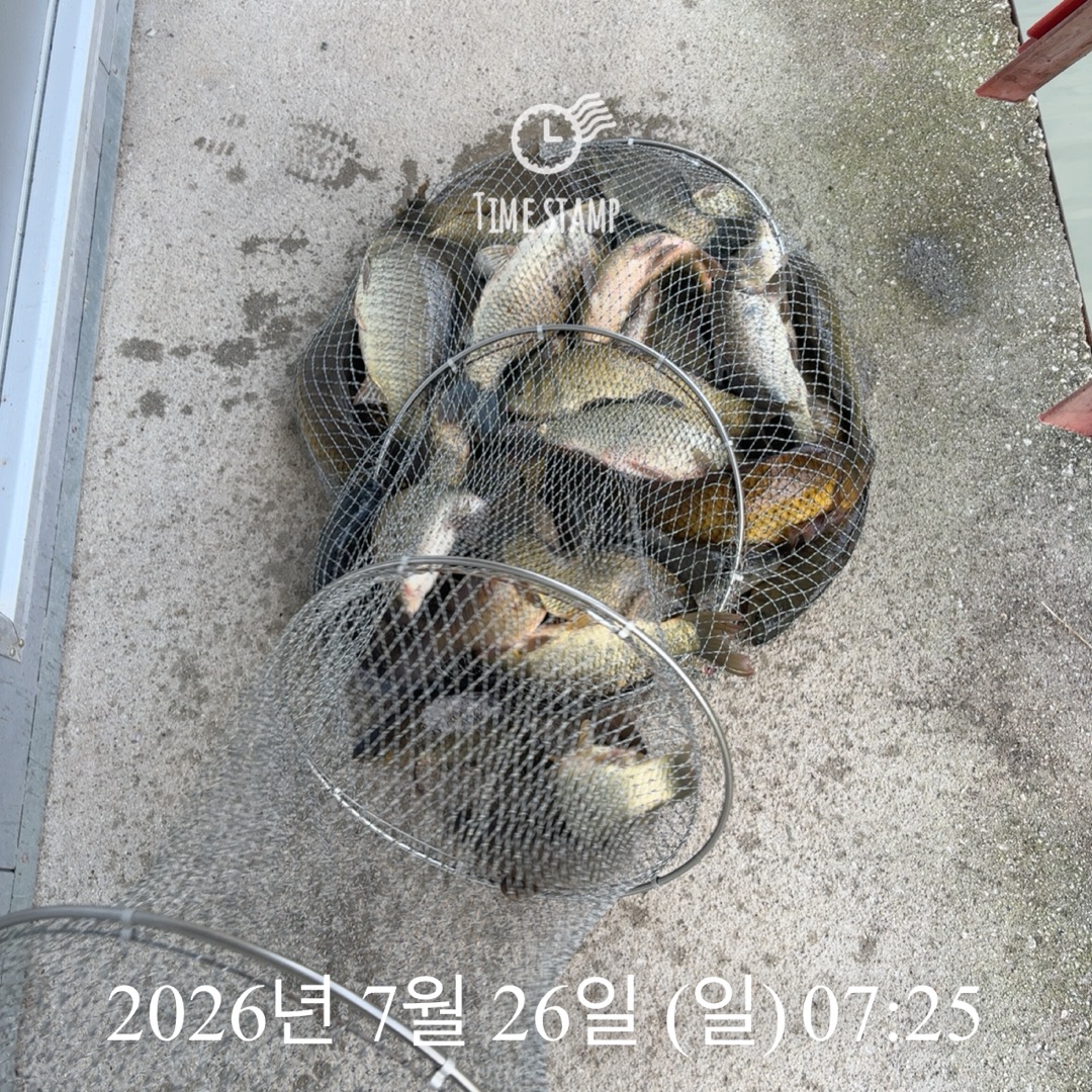 KakaoTalk_20260728_064907391_13.jpg