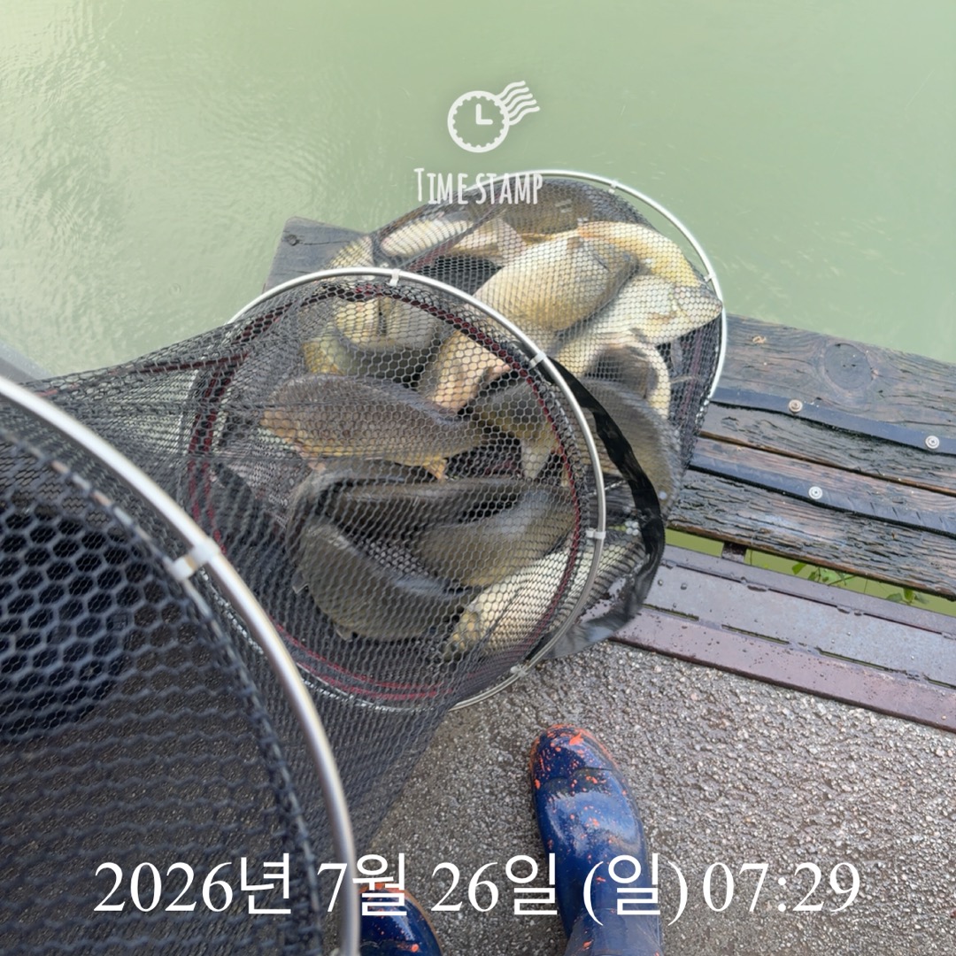 KakaoTalk_20260728_064907391_12.jpg