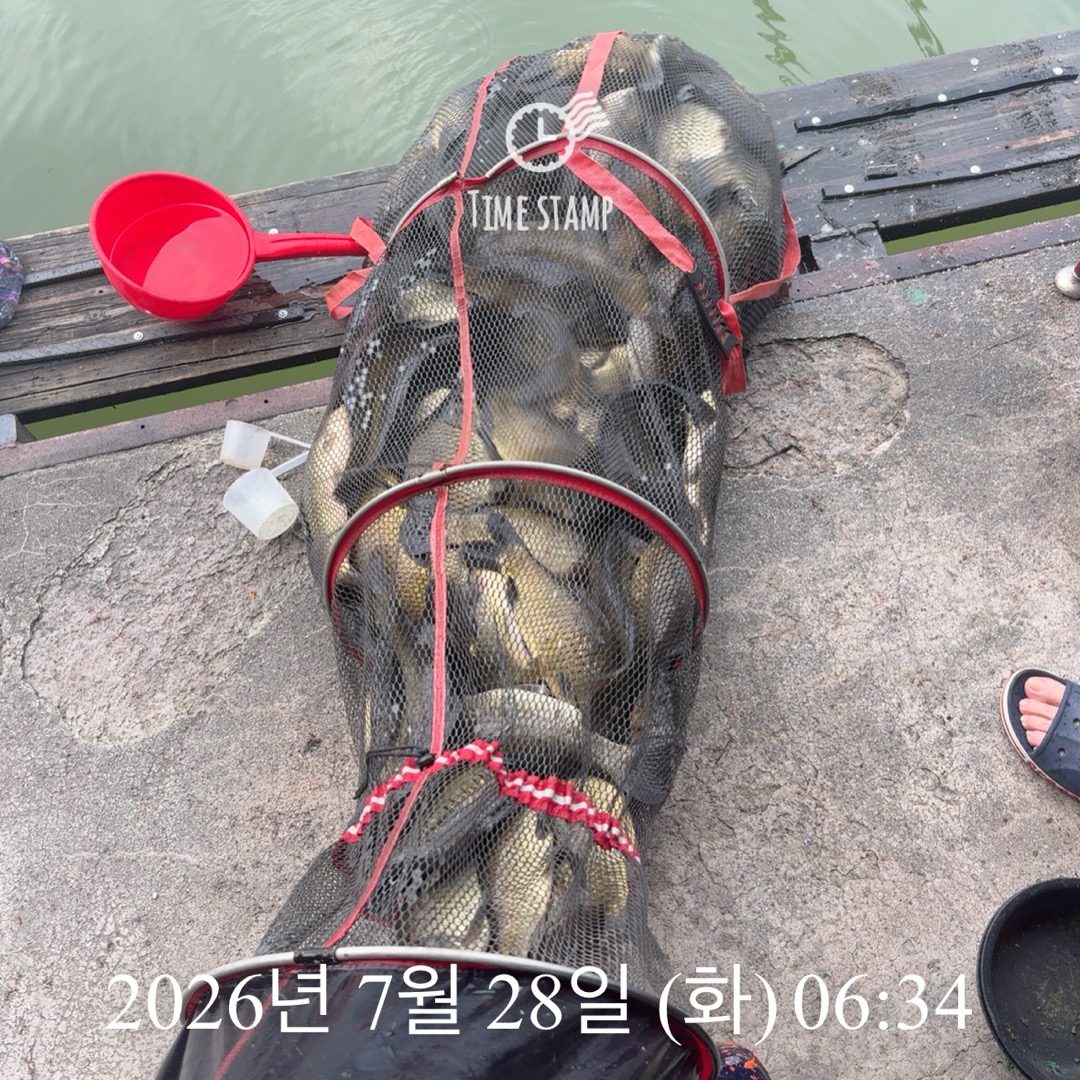 KakaoTalk_20260728_064907391.jpg
