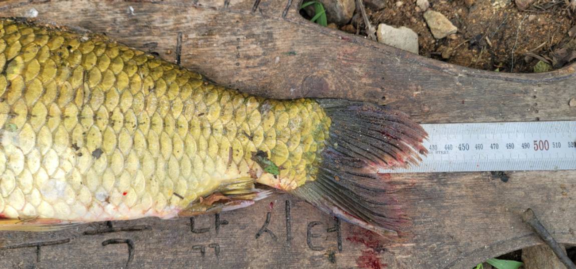 2 (3).jpg