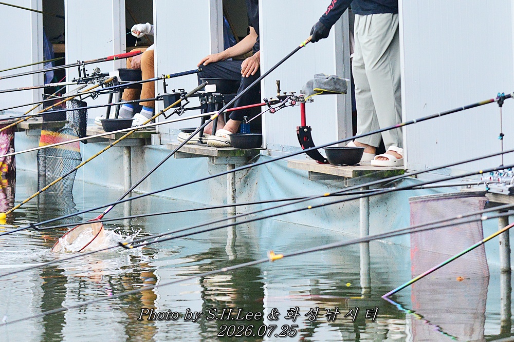 150600 (46).JPG