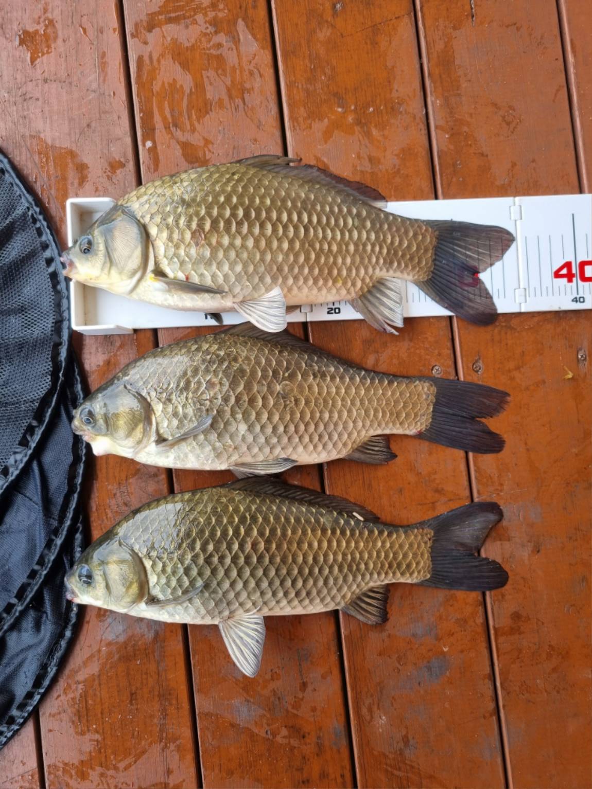 KakaoTalk_20260728_073339205_02.jpg
