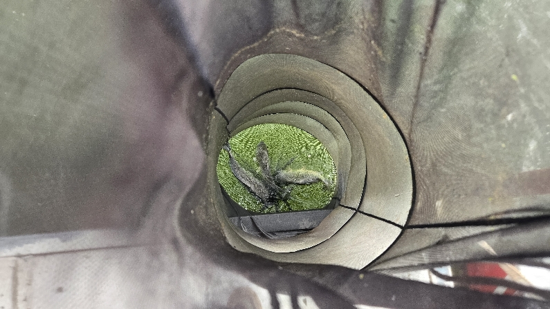 [ũ�⺯ȯ]20260727_072622.jpg