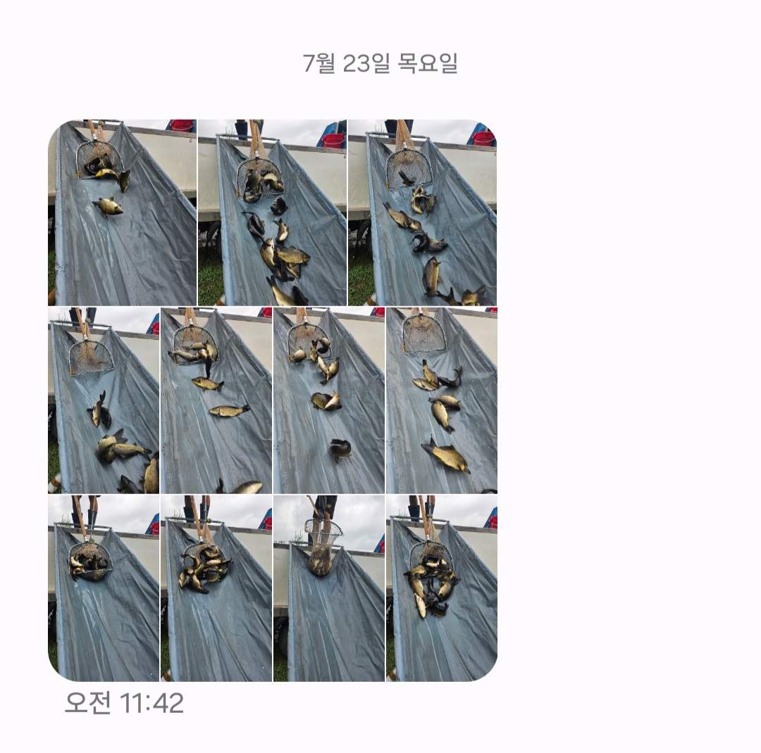 Screenshot_20260723_194836_Messages.jpg