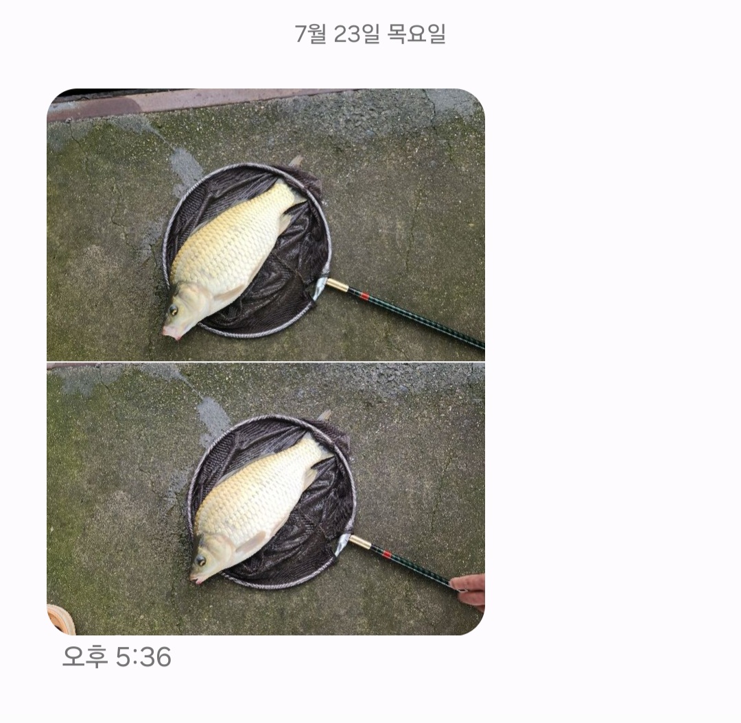 Screenshot_20260723_194933_Messages.jpg