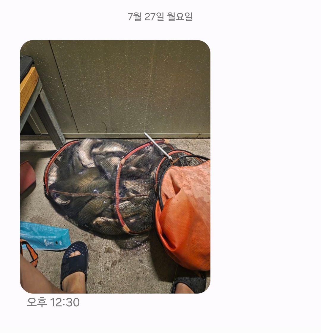 Screenshot_20260727_123150_Messages.jpg