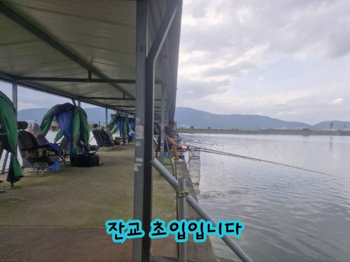 KakaoTalk_20260729_100929709_03.jpg