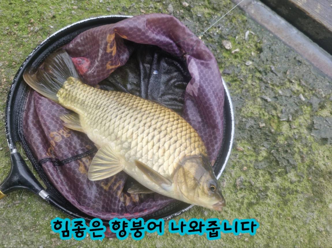 KakaoTalk_20260729_100929709_05.jpg