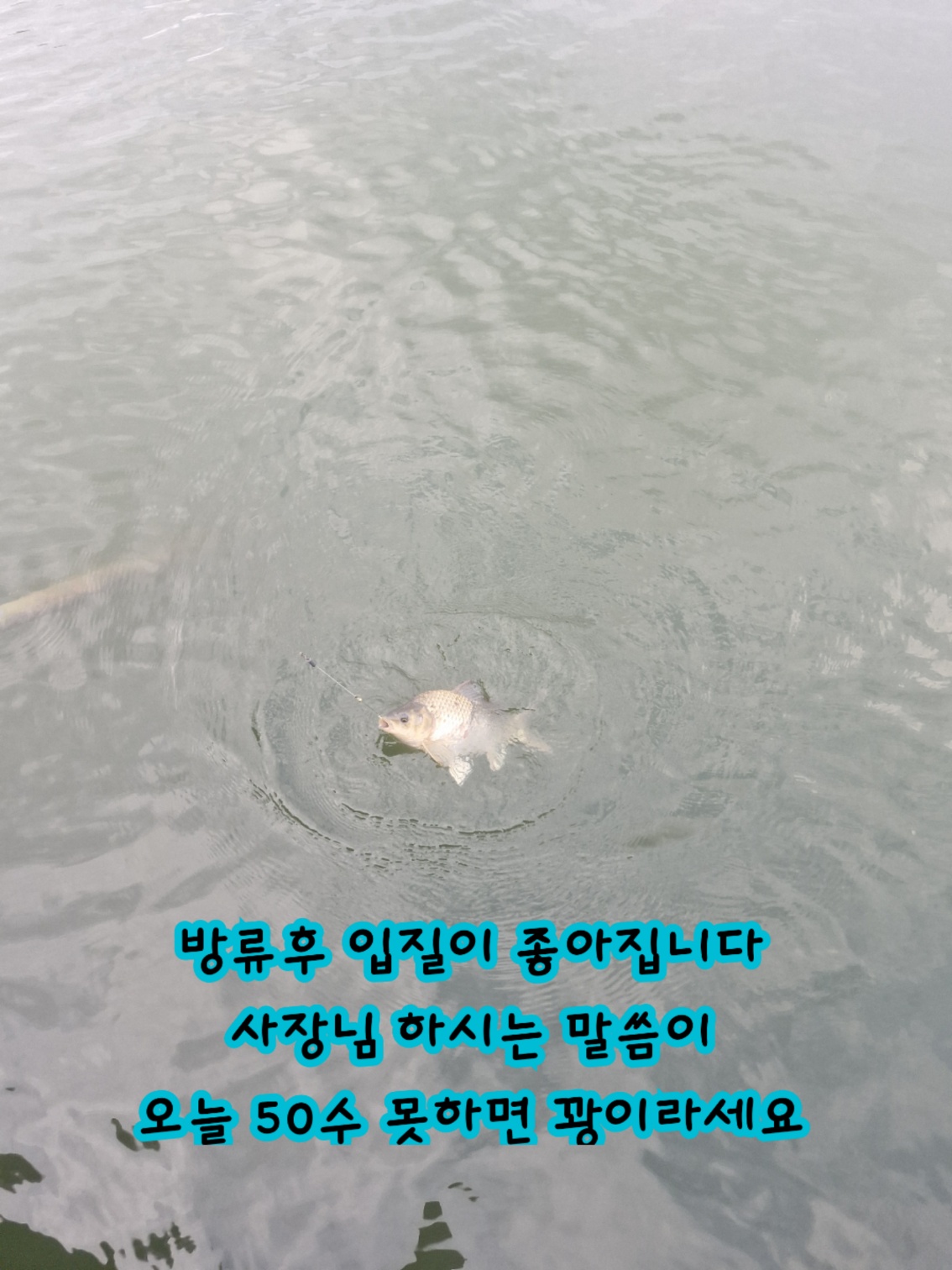 KakaoTalk_20260729_100929709_06.jpg