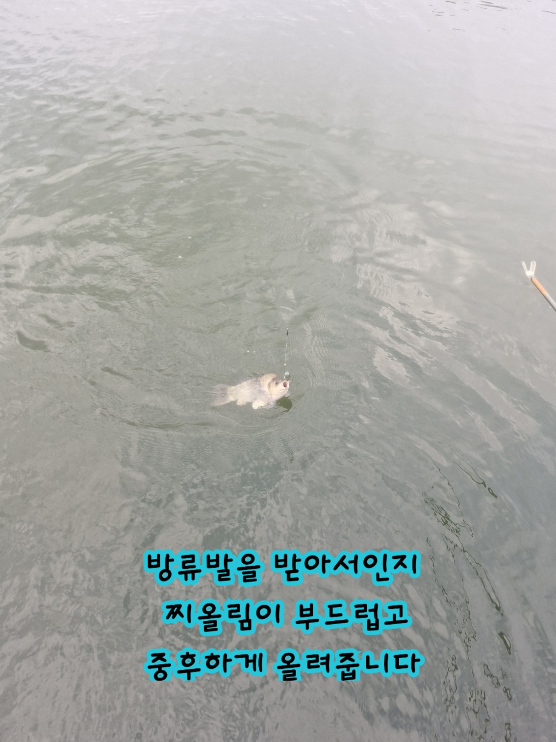 KakaoTalk_20260729_100929709_08.jpg