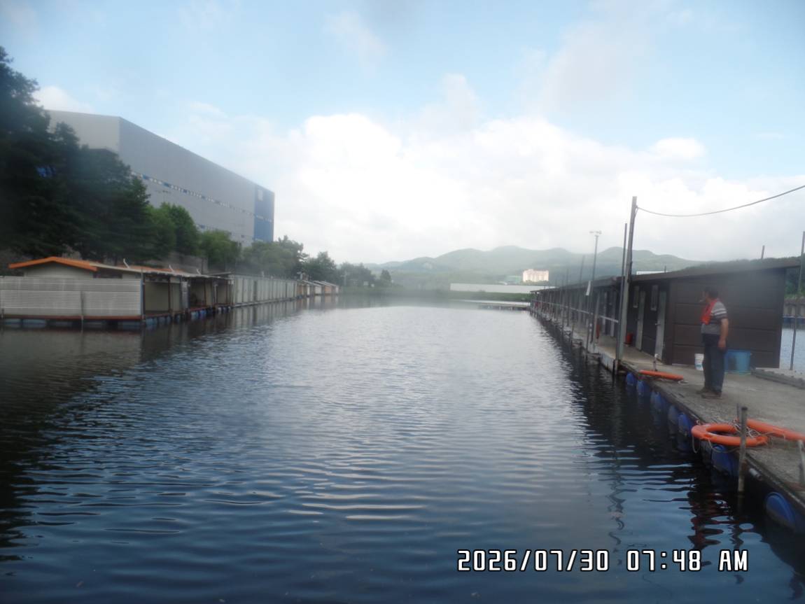 SAM_7197.JPG