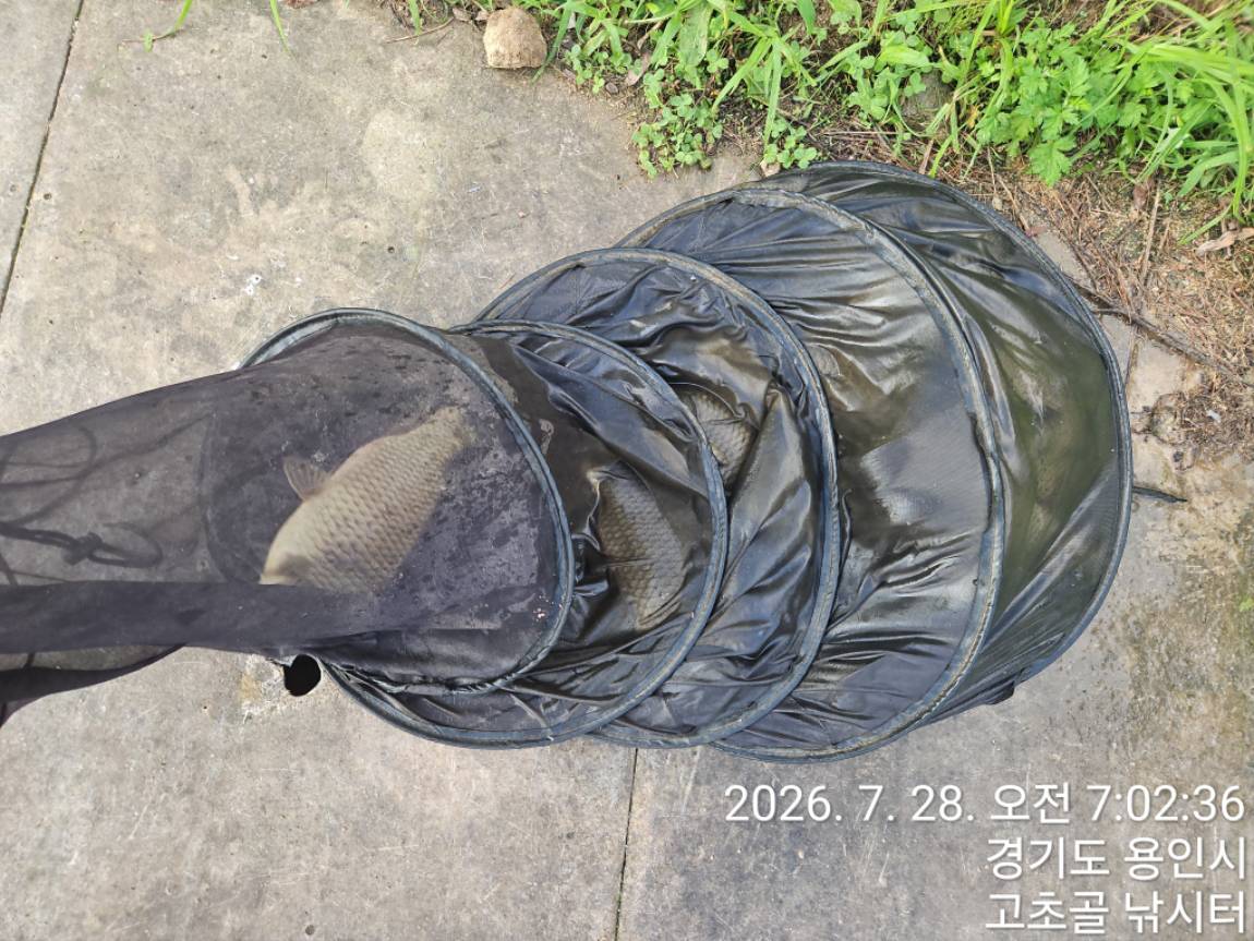 1785304591956.jpg