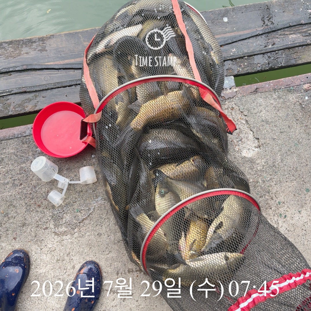 KakaoTalk_20260730_094808402_04.jpg