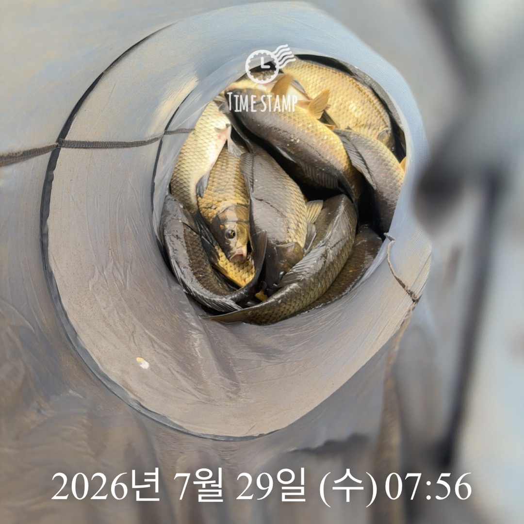 KakaoTalk_20260730_094808402_02.jpg