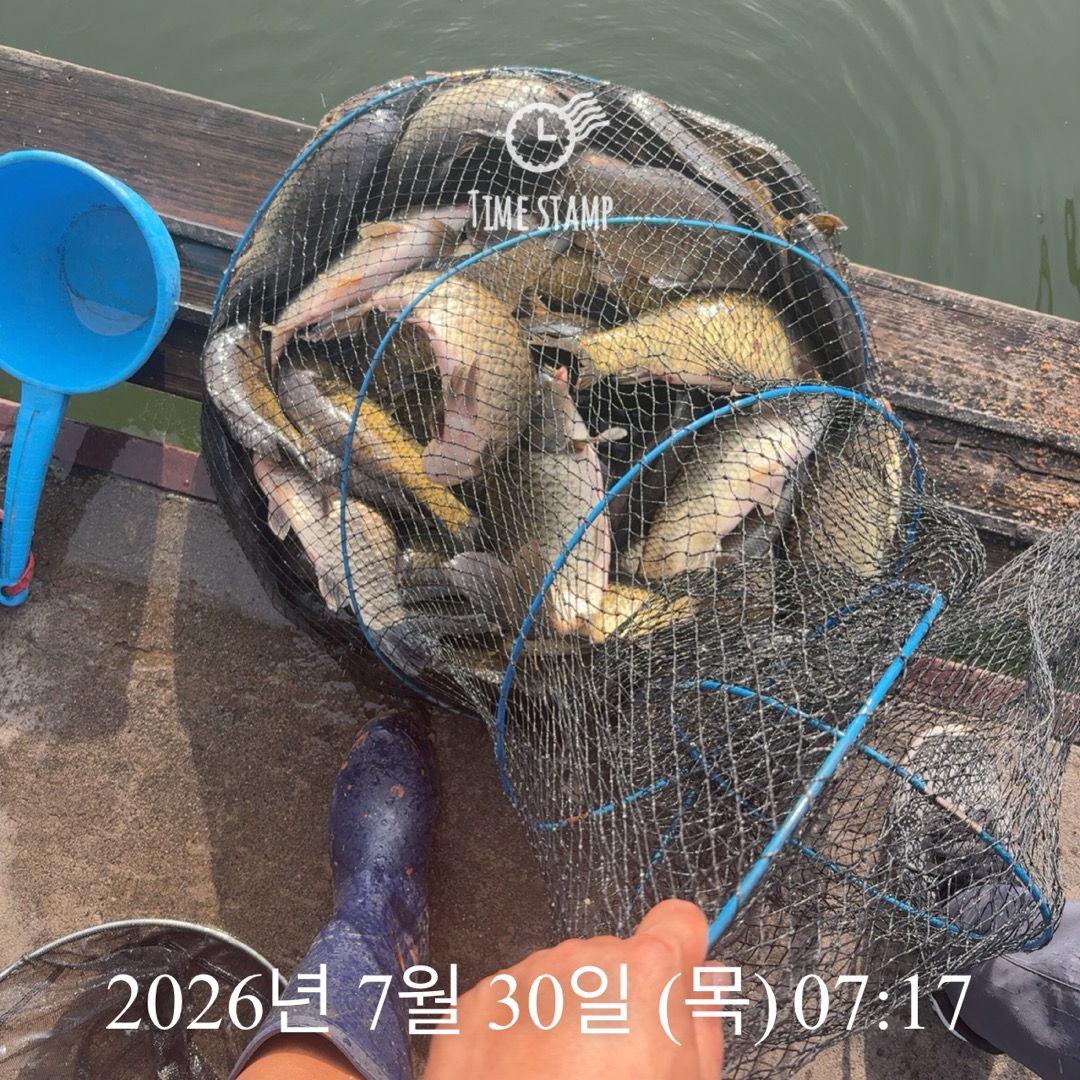 KakaoTalk_20260730_094808402_01.jpg