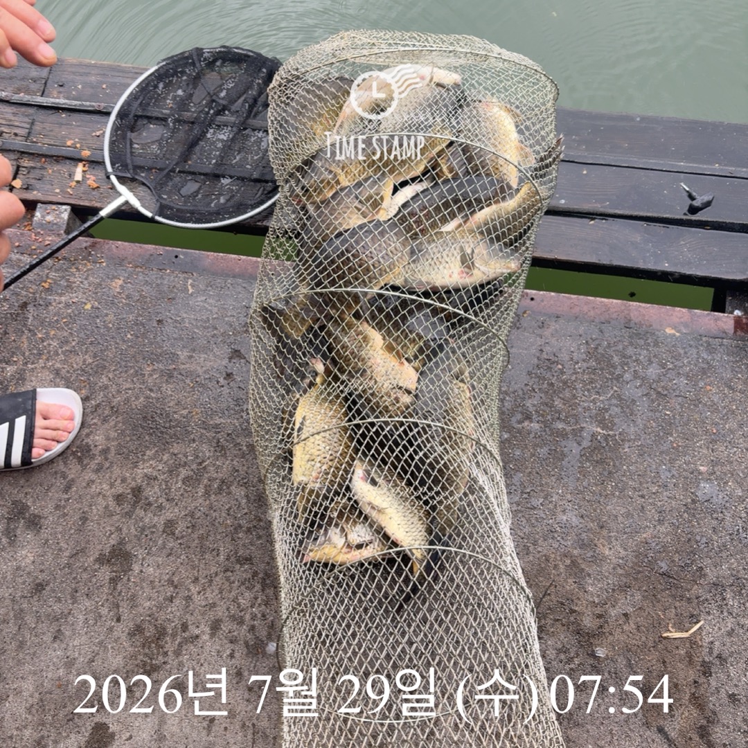 KakaoTalk_20260730_094808402_03.jpg