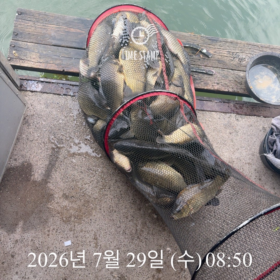 KakaoTalk_20260730_094808402.jpg