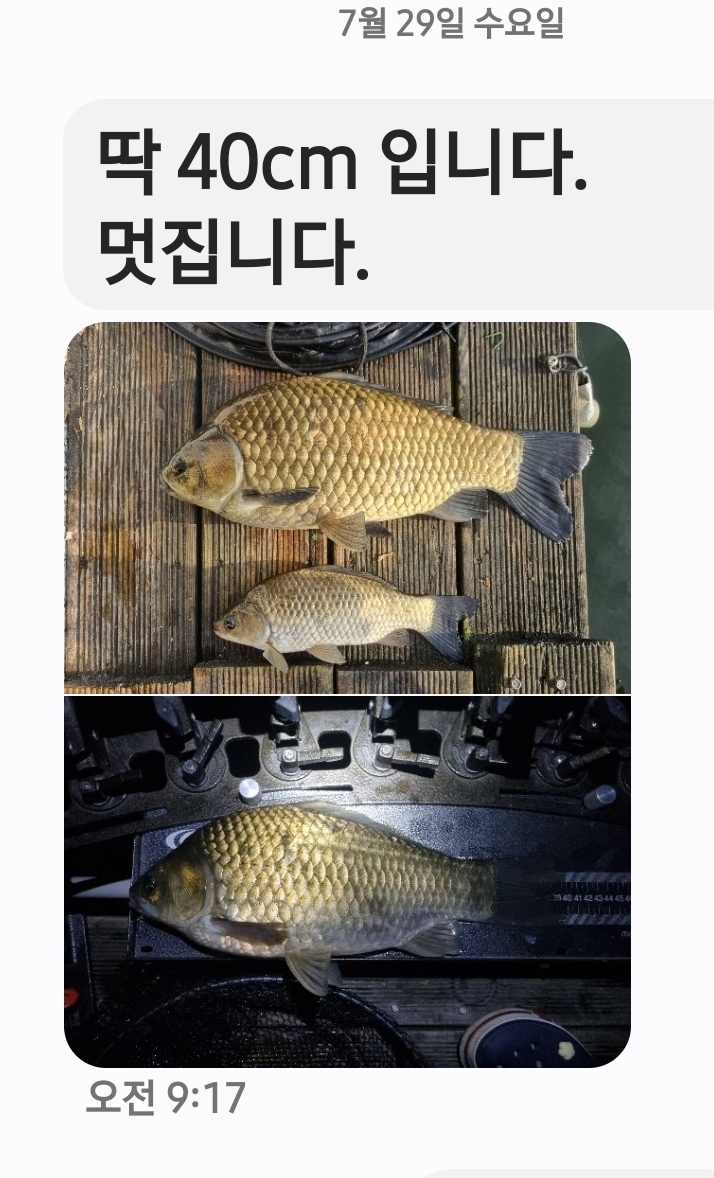 Screenshot_20260729_092055_Messages.jpg