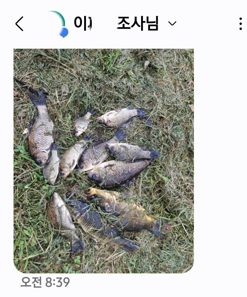 Screenshot_20260726_091404_Messages.jpg