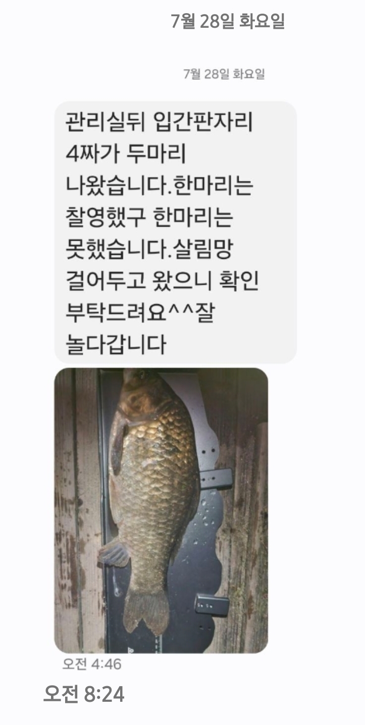 Screenshot_20260728_082531_Messages.jpg