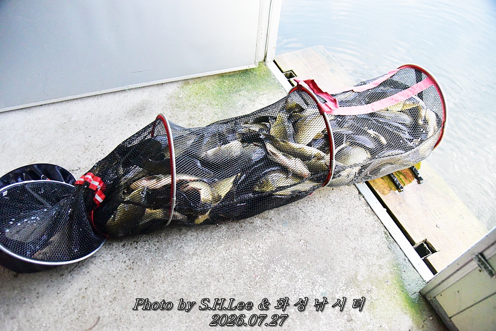 LEE_6540.JPG