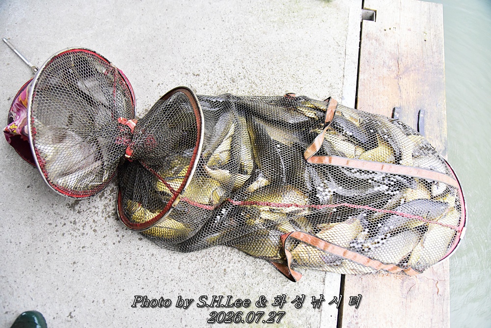LEE_6571.JPG