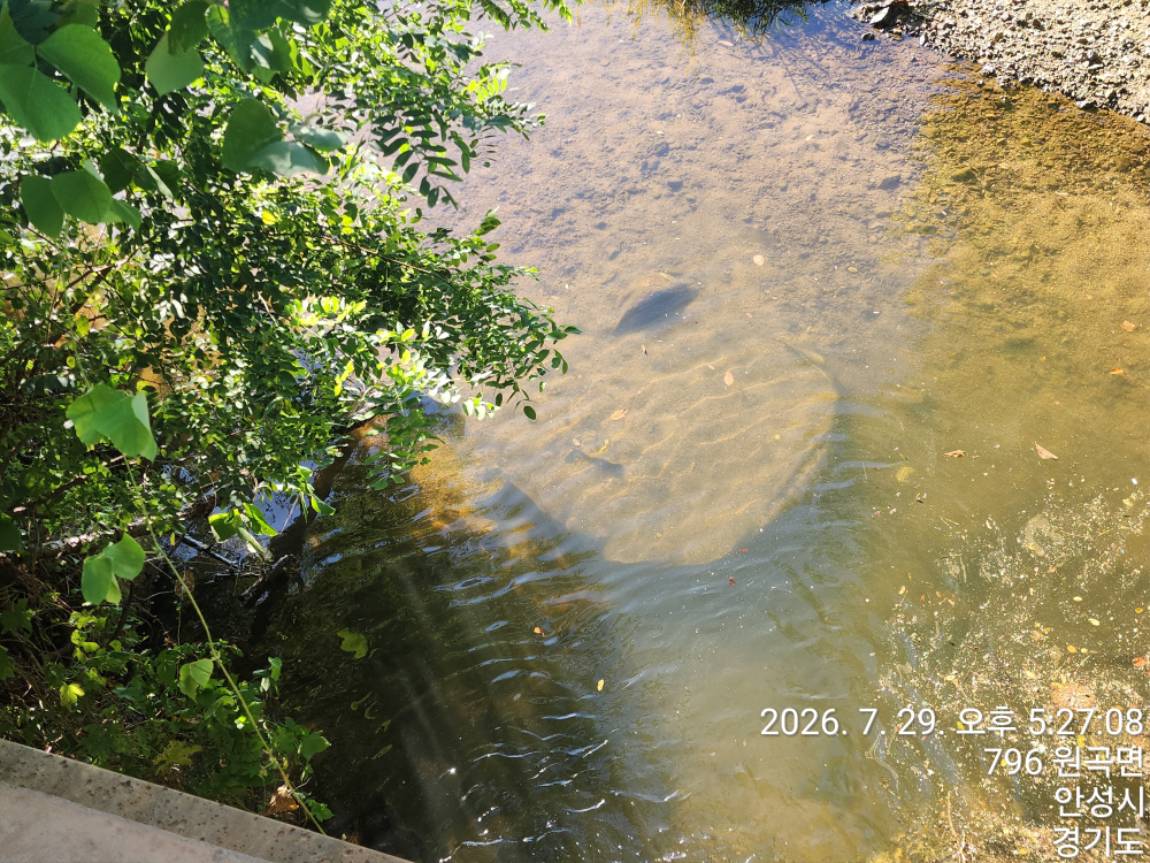 TimePhoto_20260729_172708.jpg