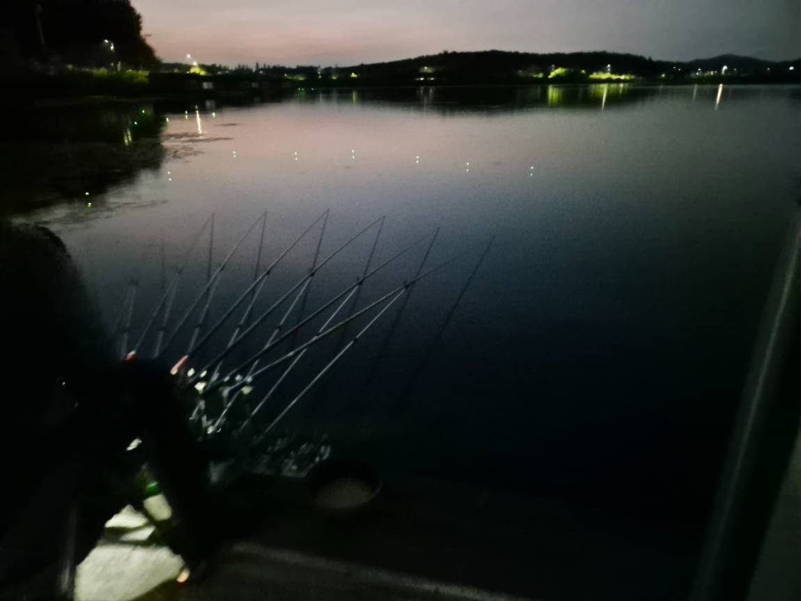20260731_202318.jpg