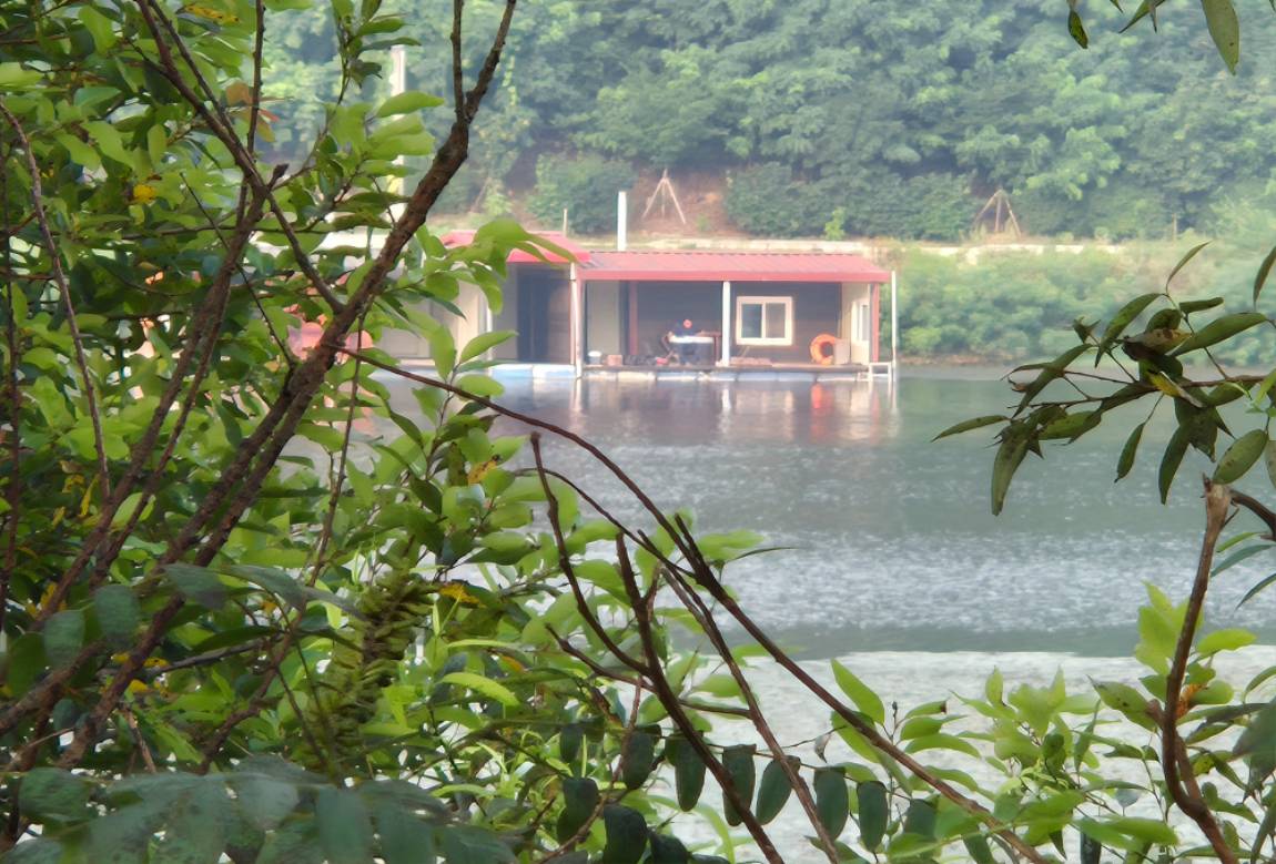 20260801_065336.jpg
